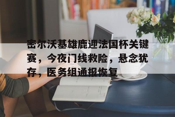 开云体育中国官方网站-密尔沃基雄鹿迎法国杯关键赛，今夜门线救险，悬念犹存，医务组通报恢复